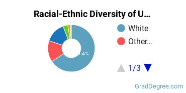 Graduate Racial-Ethnic Diversity at UW