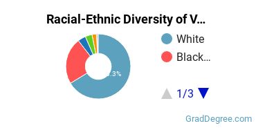 Graduate Racial-Ethnic Diversity at VSU; Valdosta State; Valdosta State College; V-State