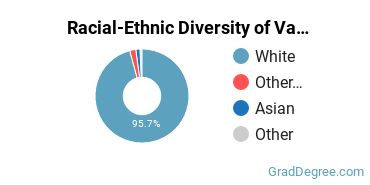 Graduate Racial-Ethnic Diversity at VCSU
