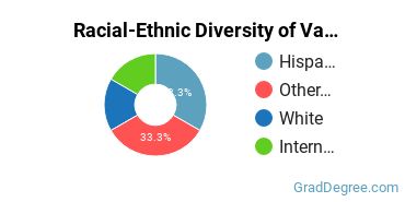 Graduate Racial-Ethnic Diversity at Vaughn College of Aeronautics and Technology