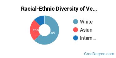 Graduate Racial-Ethnic Diversity at Vermont State University