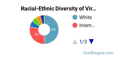Graduate Racial-Ethnic Diversity at Virginia Tech