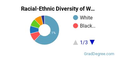 Graduate Racial-Ethnic Diversity at Wagner College