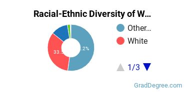 Graduate Racial-Ethnic Diversity at Waldorf University