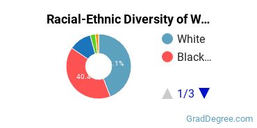 Graduate Racial-Ethnic Diversity at Warner University
