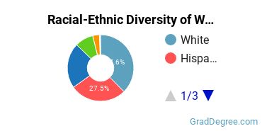 Graduate Racial-Ethnic Diversity at Wayland Baptist University