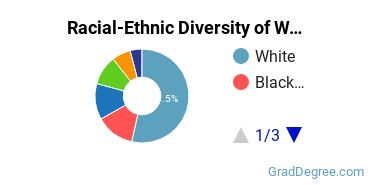 Graduate Racial-Ethnic Diversity at WSU
