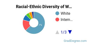 Graduate Racial-Ethnic Diversity at WMU