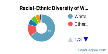 Graduate Racial-Ethnic Diversity at WNE