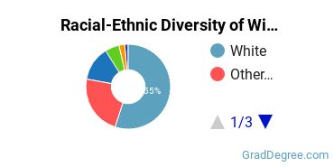 Graduate Racial-Ethnic Diversity at Wingate University