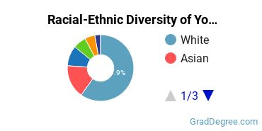 Graduate Racial-Ethnic Diversity at Yo San University