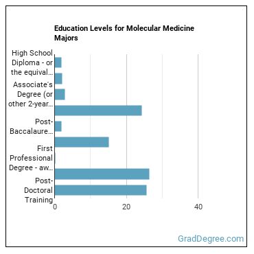 Education levels for Molecular Medicine majors