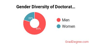 Gender Diversity of Doctor's Degrees in Computational Science