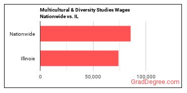 Multicultural & Diversity Studies Wages Nationwide vs. IL